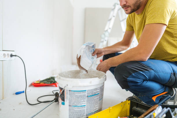 Best Basement Mold Removal  in Queens Gate, PA